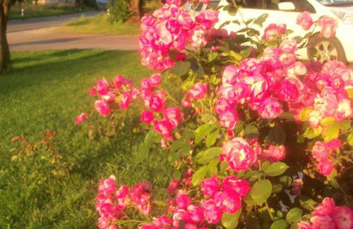 House Veljko - Foto 18