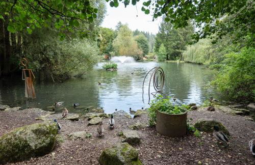 Ferienwohnung im Kappeler Wald - Photo 33