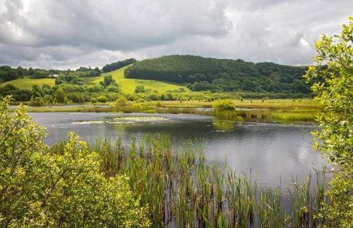 Ty Cellin Tregaron - Foto 13