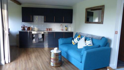 Conkers - a new bespoke rural escape near Glastonbury - Foto 5, stove, pet friendly