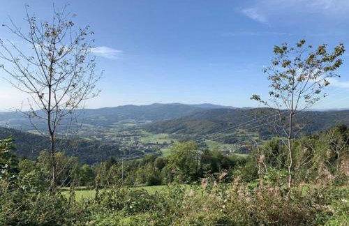 Ferienland Sonnenwald Fewo 46 - Foto 40