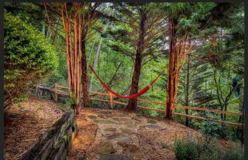 Mystic Creek Retreat (next to Blue Ridge) - Foto 36