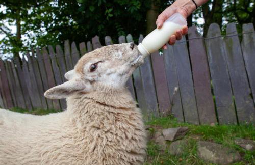 3 Bed in Caerhun oc-wag692 - Photo 4