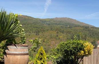 As Leirinhas - Foto 1