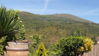 As Leirinhas - Foto 1