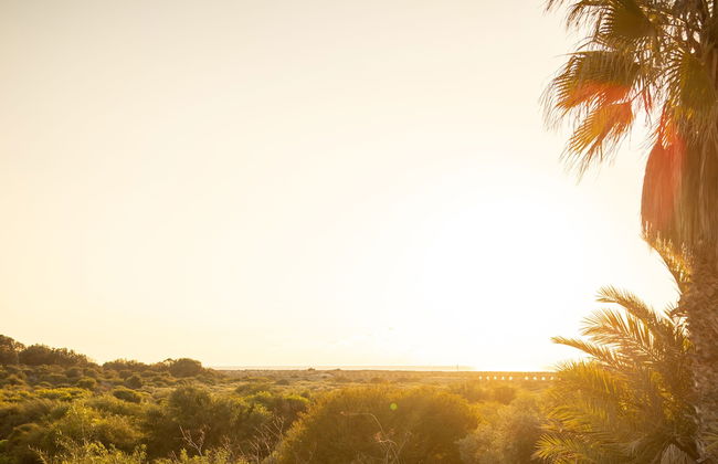 Caesarea Sea-Side Retreat by Sea N' Rent - Foto 59