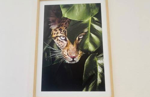 Le Wild, Superbe studio au bord de la vilaine - Foto 21