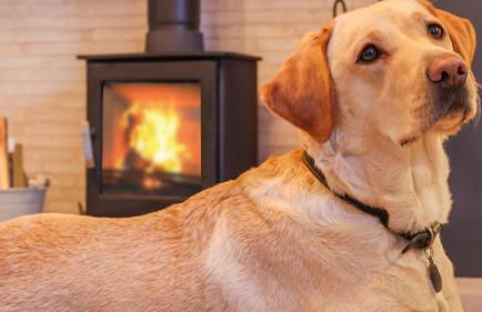 Nala's Nest - Foto 5