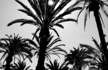 Alicante Ocean View - Photo 44