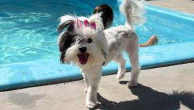 Pousada Sonho - Foto 2