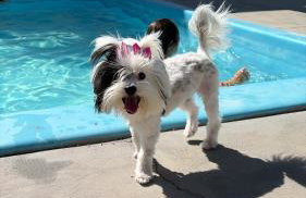 Pousada Sonho - Foto 2