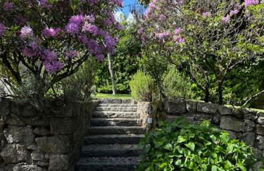 Casa dos três rapazes - Foto 56