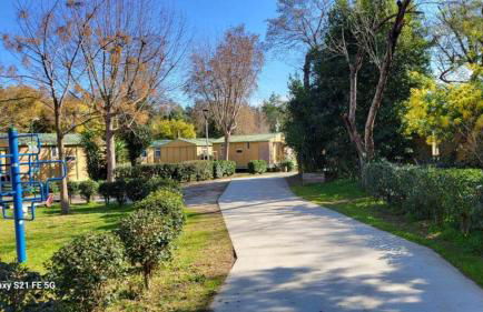 Chalet climatisé avec patio en Haute Corse 5 couchages - Foto 8