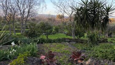 Agrirėlais Eremo Sant’Anna - Foto 5, Garden view