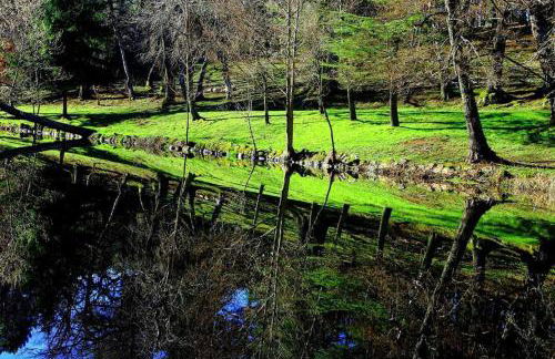 Apartamento La Paloma - Photo 3