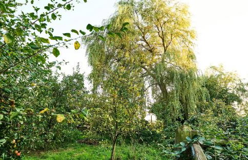 Nature Charm & Fruit Delights, multi-generation celebratory home -Try, Relax, Repeat - Sellindge - Foto 79