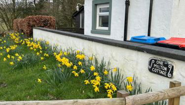 Cosy country cottage in rural location - Foto 3