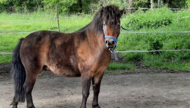 Gîte La Petite Roche - Photo 5