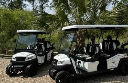 Beach Please! Complimentary 6-Seater Golf Carts! - Foto 1