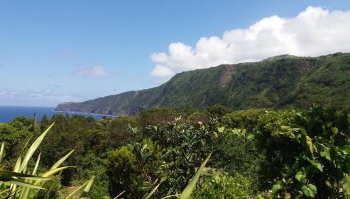 Casa do Costa - Foto 5