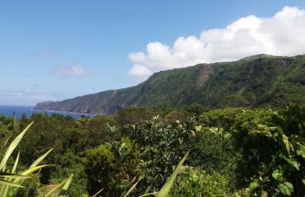 Casa do Costa - Foto 5