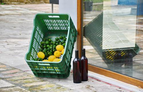 The Ranch of Ancient Ilida - Foto 37