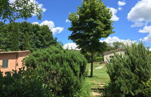 Agricola Caicucci - Foto 64