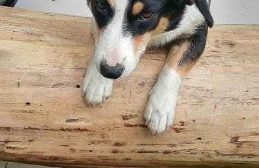 Gierszówka Smak&Relaks - Foto 21