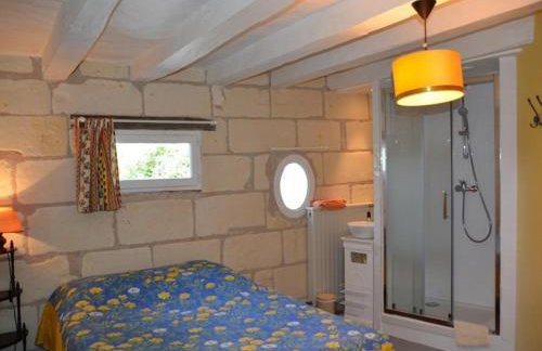 Maison de caractère 1840 en Touraine avec grand jardin, pêche, à proximité de Loches et châteaux. - FR-1-381-558 - Foto 9