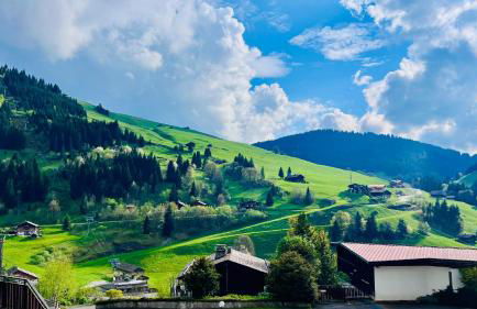 Cocon alpin rénové - Accès direct aux pistes - Foto 17