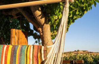 Ktima Asteria - Foto 11