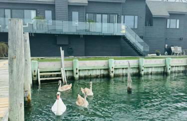 Black Swan- Beachfront Home with Year-Round Jacuzzi - Foto 39