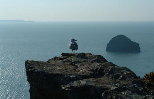 Cornwall Luxury Hot Tub Huts - Foto 48