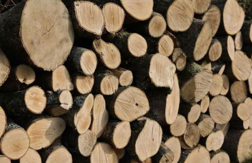 The Winford Retreat - Foto 14