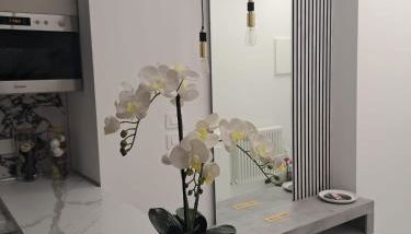 Room& Breakfast Martin's Luxury Bologna - Photo 5