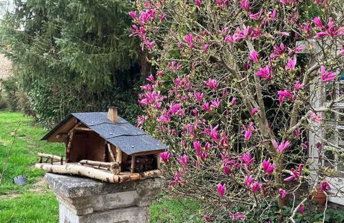 Gite l'Échapée Belle dans les Vosges - Foto 56