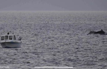 Coastal Apartments No 1 - Photo 47