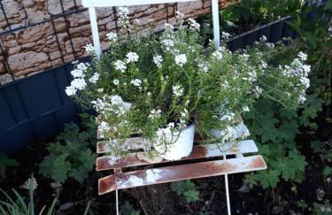 Kandelblick - Foto 23