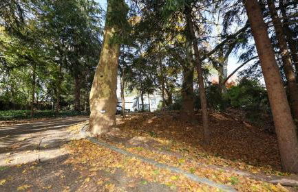 Long Island Nature Retreat with Peloton with Shared Pool - Foto 27