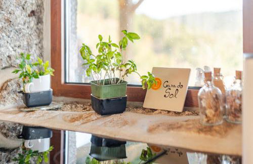 CASA DO SOL , Turismo Rural - Foto 16