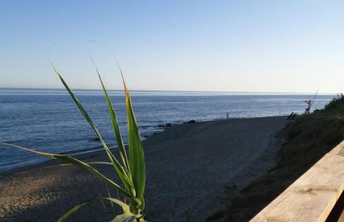 Estudio Pies de Arena - Photo 37