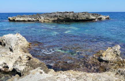 Villa L'isola - Foto 16