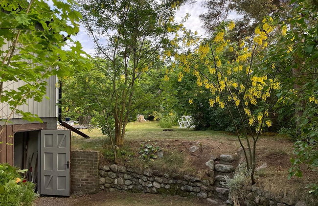 4 Person Holiday Home in 38472 - Foto 57