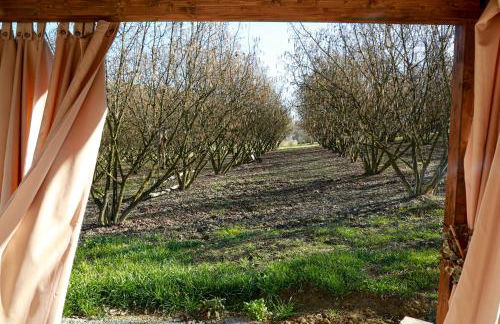 Cà d'Rita Monferrato - Viognier con sauna interna e idromassaggio e piscina esterni - Foto 36