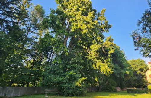 appartement T3 avec jardin proche village - Foto 53