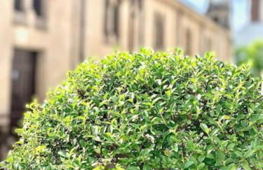 Studio Exotique Hyper-Centre Enghien 12min Paris - Foto 20