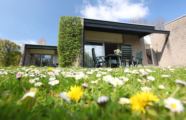 Cozy Bungalow Sauna Valkenburg - Photo 11