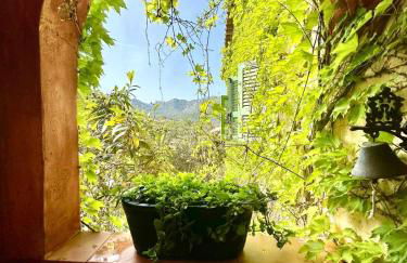 Domaine Victoria - Foto 53