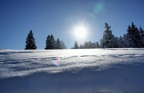 Almsternchen 2 - Almsternchen 3 - Photo 16