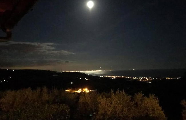 I Cardinali - Foto 33